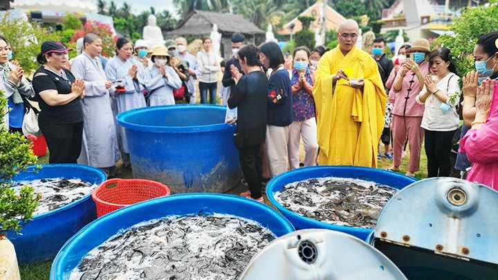 Người dân bức xúc nam thanh niên chích điện bắt cá do nhà sư phóng sanh