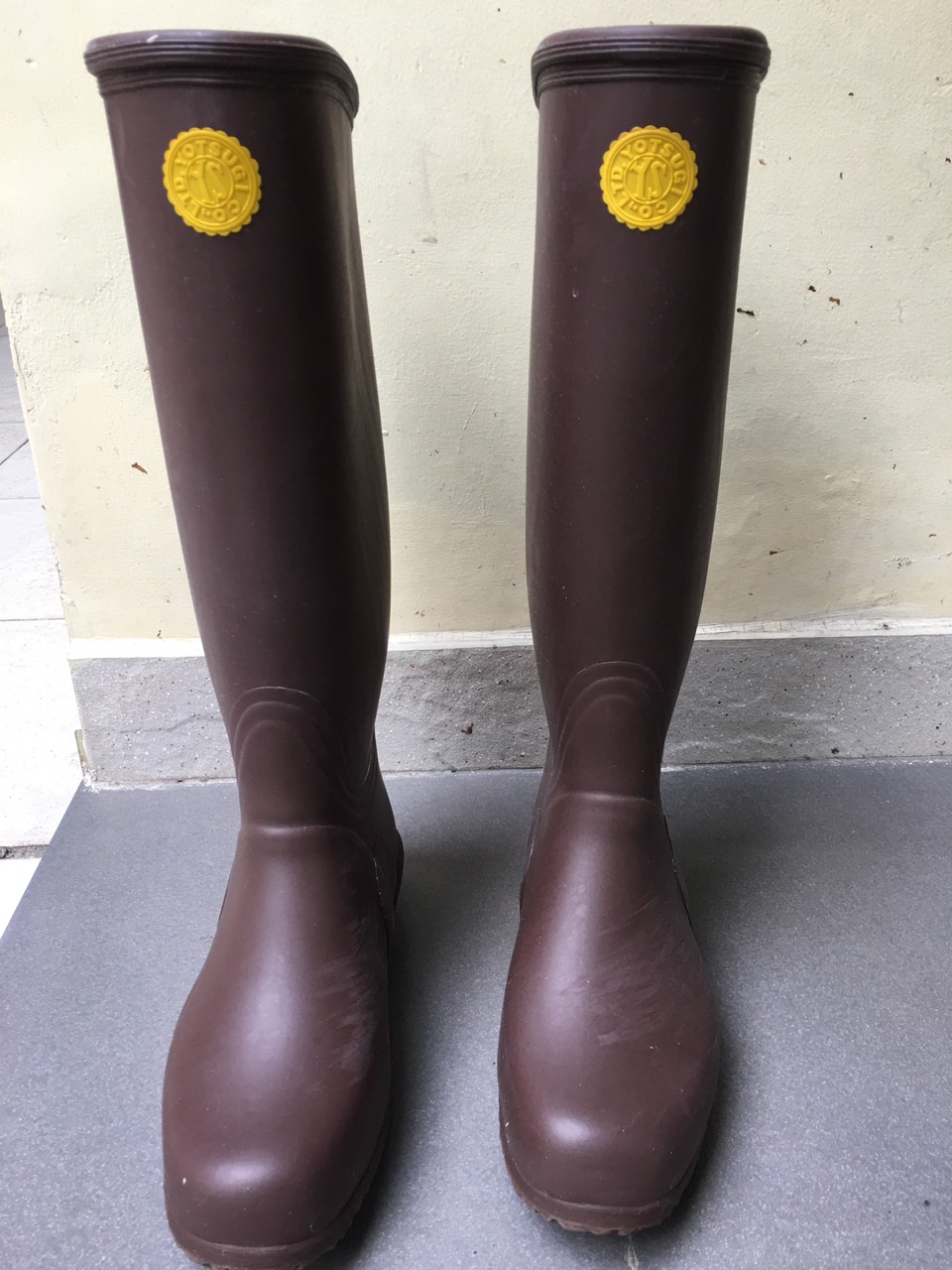 GĂNG, ỦNG CÁCH ĐIỆN TRUNG THẾ GĂNG, ỦNG CÁCH ĐIỆN TRUNG THẾ